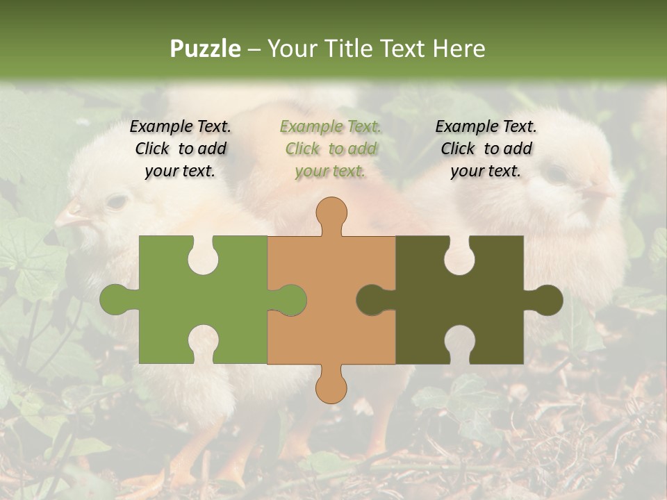 Five Farming Yellow PowerPoint Template