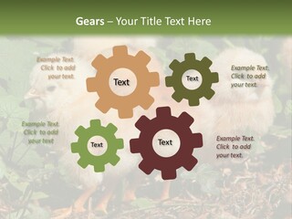 Five Farming Yellow PowerPoint Template