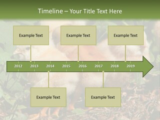 Five Farming Yellow PowerPoint Template