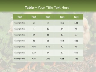 Five Farming Yellow PowerPoint Template