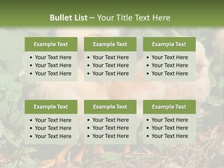 Five Farming Yellow PowerPoint Template