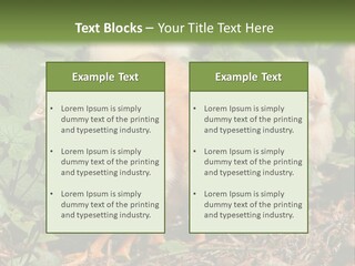 Five Farming Yellow PowerPoint Template