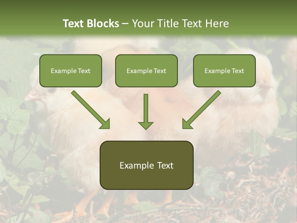 Five Farming Yellow PowerPoint Template