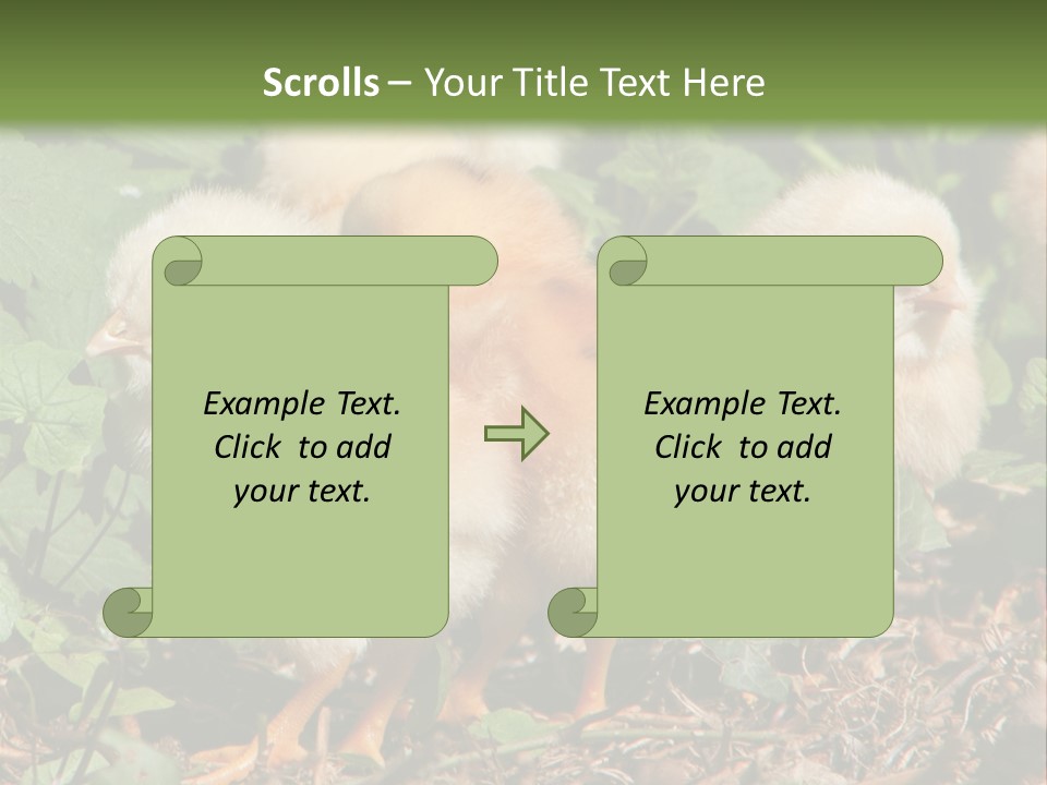 Five Farming Yellow PowerPoint Template