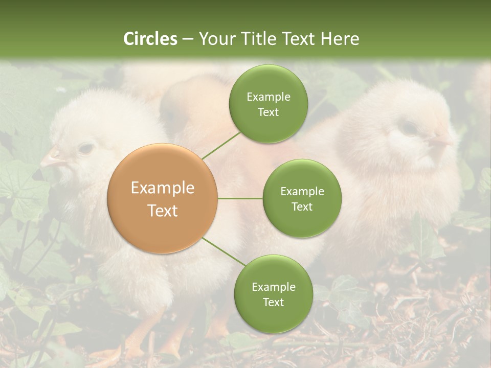 Five Farming Yellow PowerPoint Template