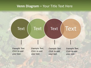 Five Farming Yellow PowerPoint Template