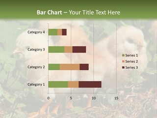 Five Farming Yellow PowerPoint Template