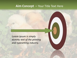 Five Farming Yellow PowerPoint Template