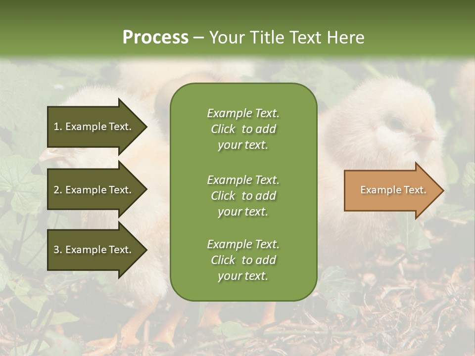 Five Farming Yellow PowerPoint Template