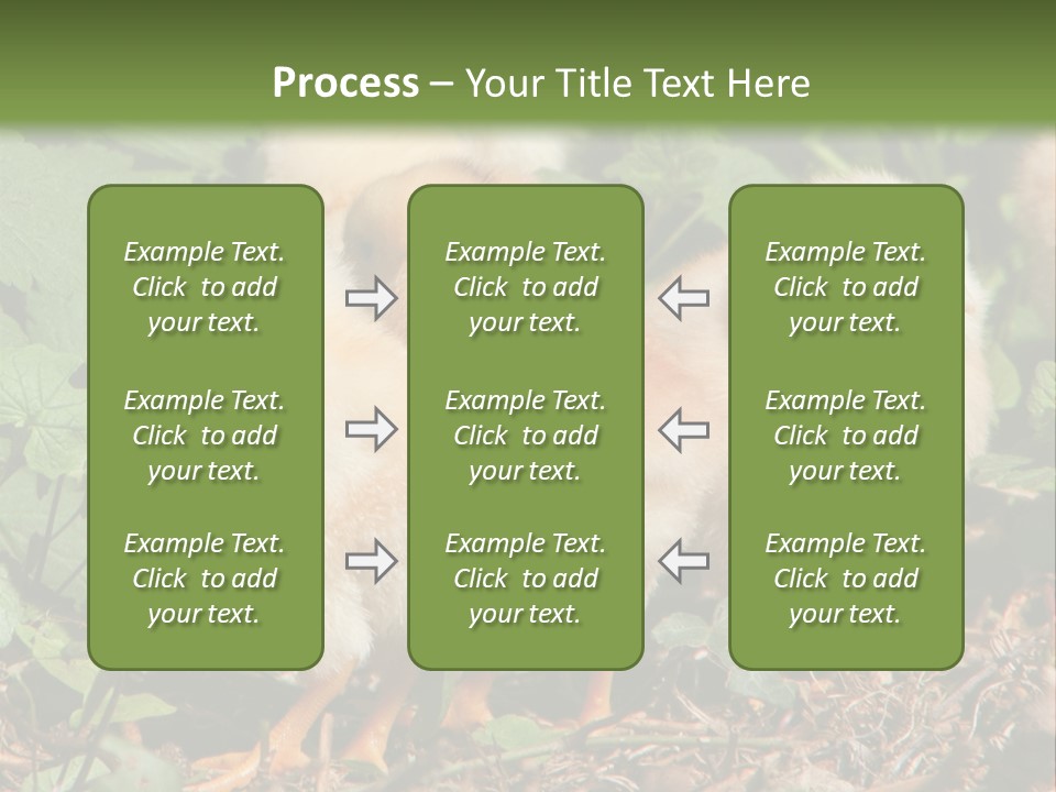 Five Farming Yellow PowerPoint Template
