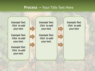 Five Farming Yellow PowerPoint Template