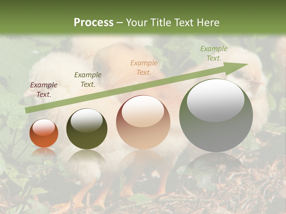 Five Farming Yellow PowerPoint Template