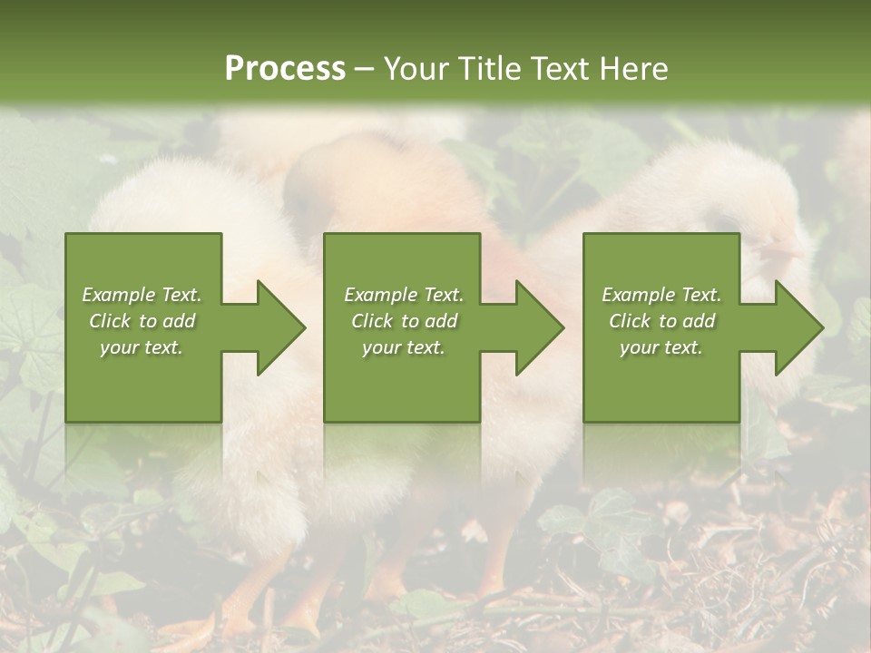 Five Farming Yellow PowerPoint Template