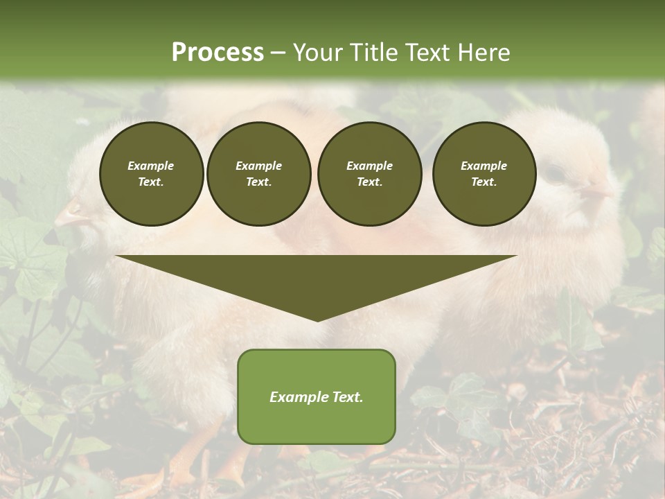 Five Farming Yellow PowerPoint Template