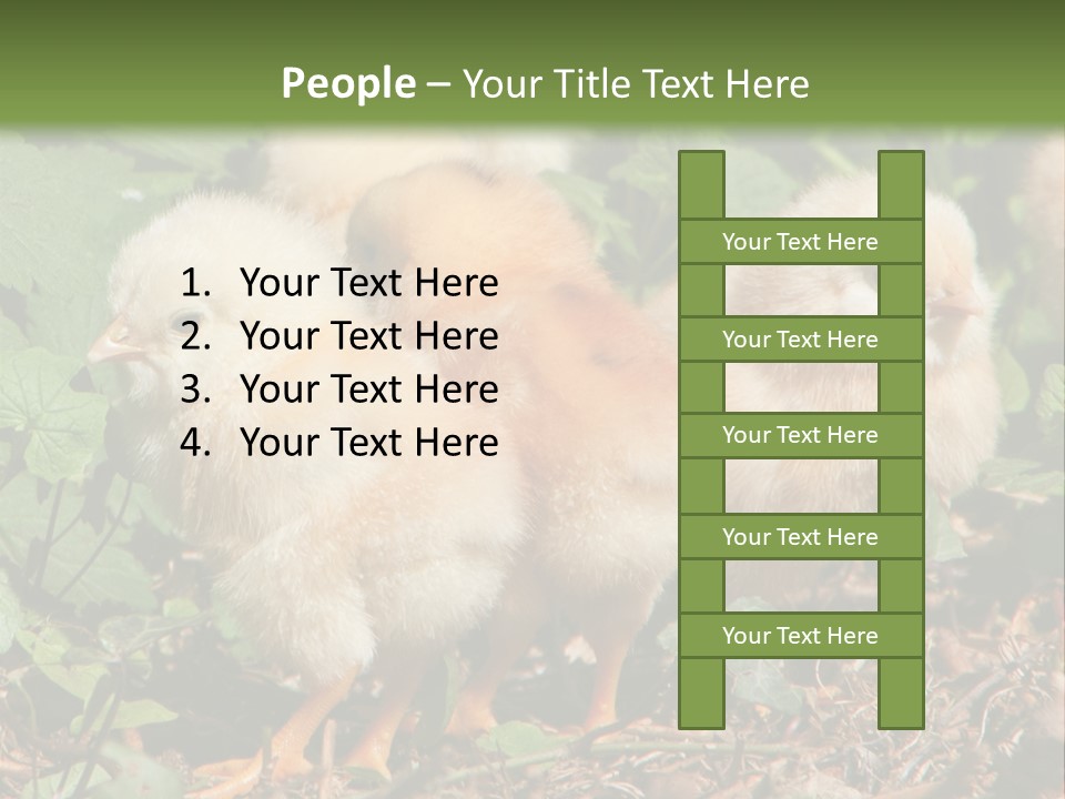 Five Farming Yellow PowerPoint Template