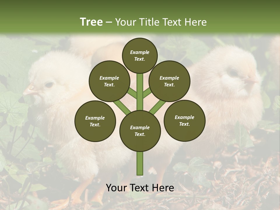 Five Farming Yellow PowerPoint Template