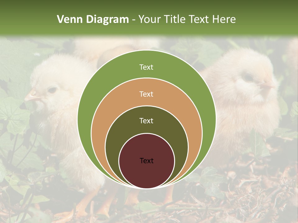 Five Farming Yellow PowerPoint Template