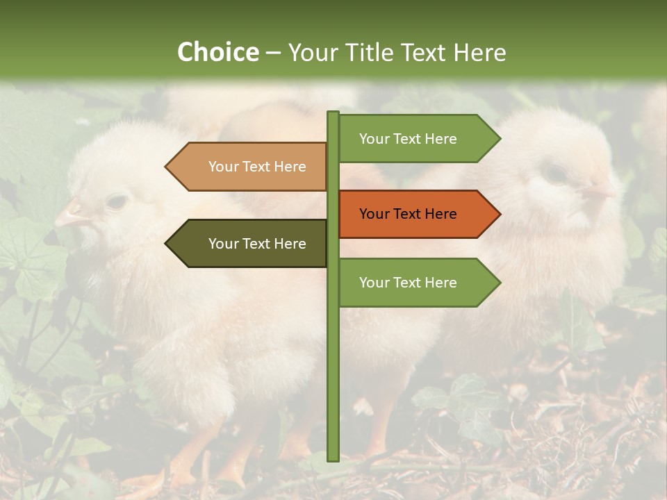 Five Farming Yellow PowerPoint Template