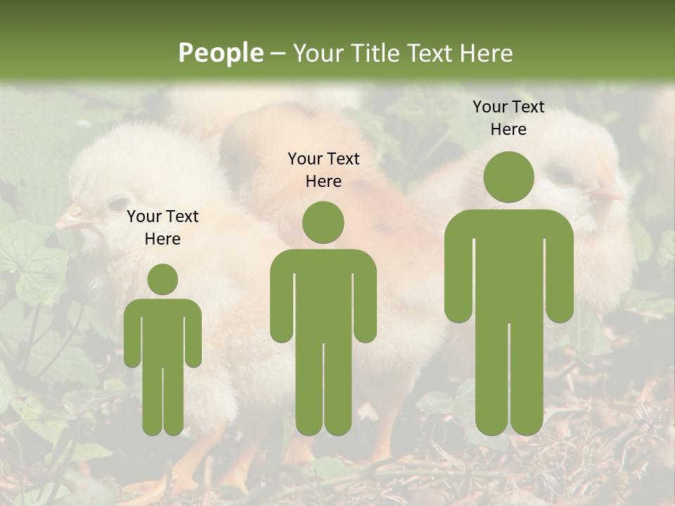 Five Farming Yellow PowerPoint Template