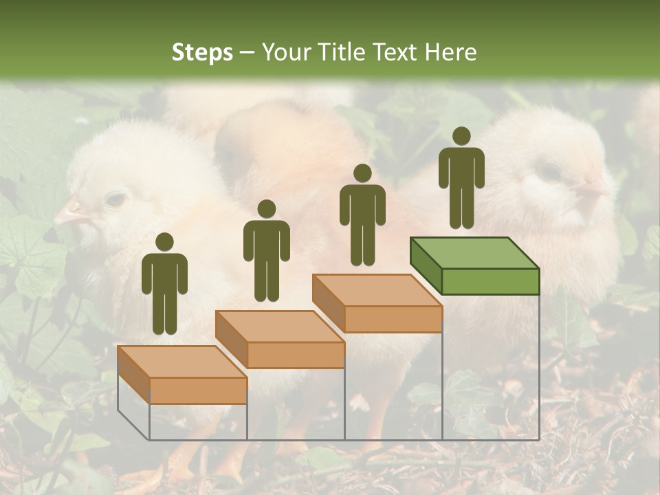 Five Farming Yellow PowerPoint Template