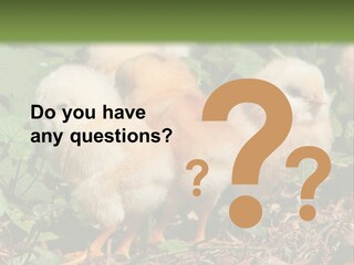 Five Farming Yellow PowerPoint Template