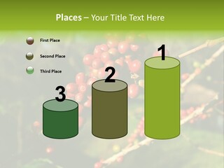 Philippines Nature Sand PowerPoint Template