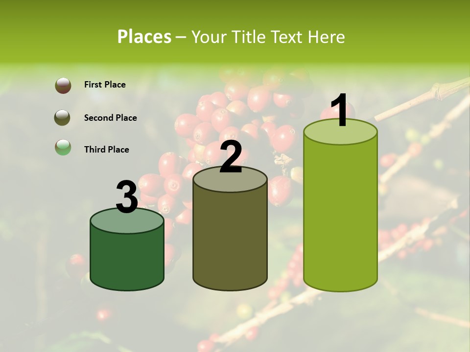 Philippines Nature Sand PowerPoint Template