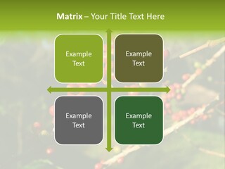 Philippines Nature Sand PowerPoint Template