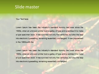 Philippines Nature Sand PowerPoint Template