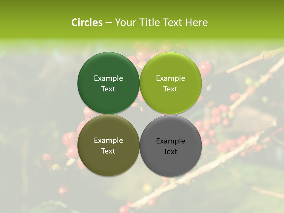 Philippines Nature Sand PowerPoint Template