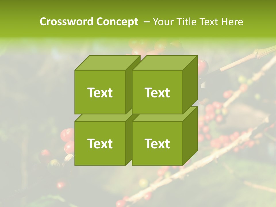 Philippines Nature Sand PowerPoint Template