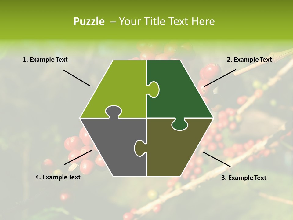 Philippines Nature Sand PowerPoint Template