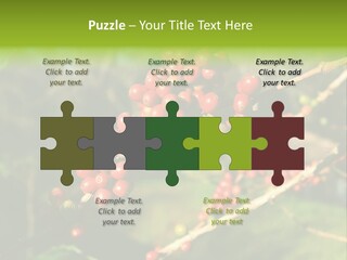 Philippines Nature Sand PowerPoint Template