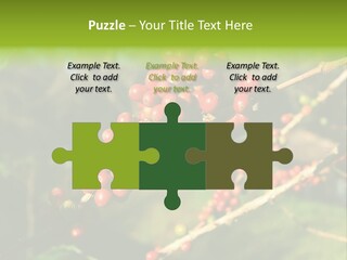 Philippines Nature Sand PowerPoint Template