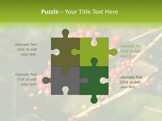 Philippines Nature Sand PowerPoint Template