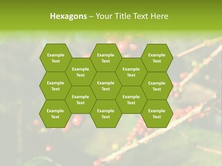 Philippines Nature Sand PowerPoint Template