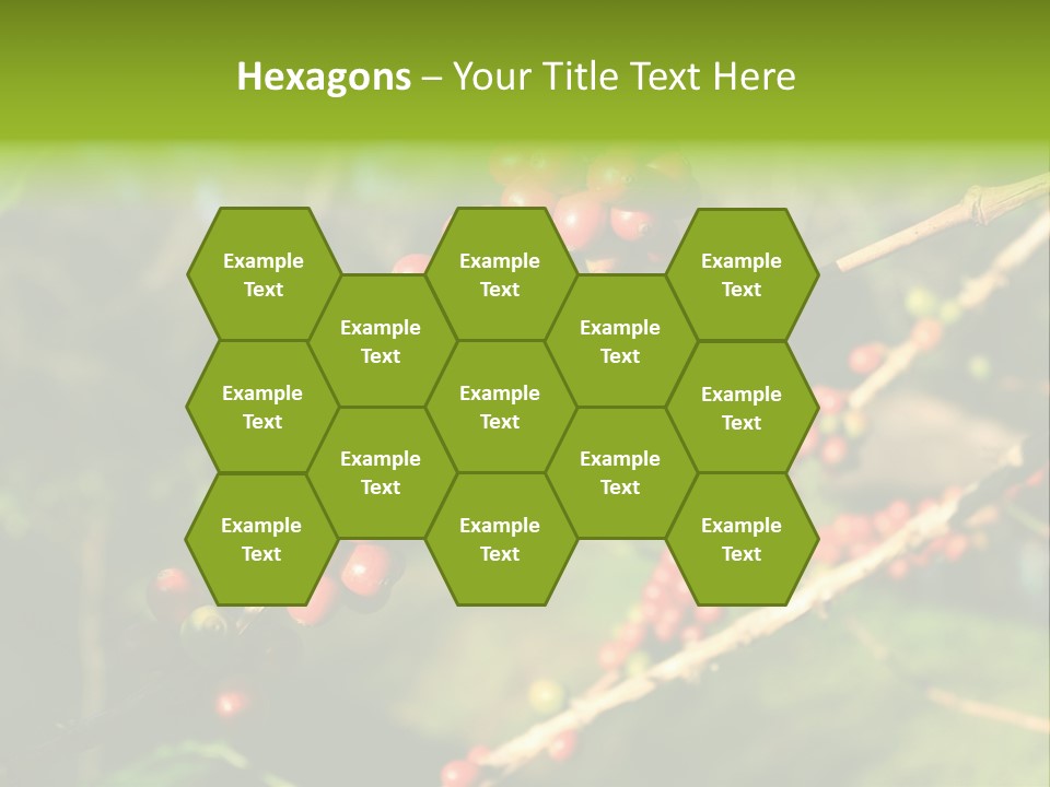 Philippines Nature Sand PowerPoint Template