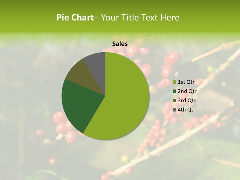Philippines Nature Sand PowerPoint Template