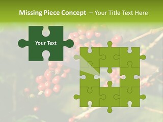 Philippines Nature Sand PowerPoint Template