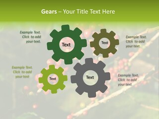 Philippines Nature Sand PowerPoint Template