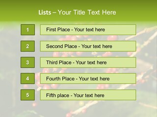 Philippines Nature Sand PowerPoint Template