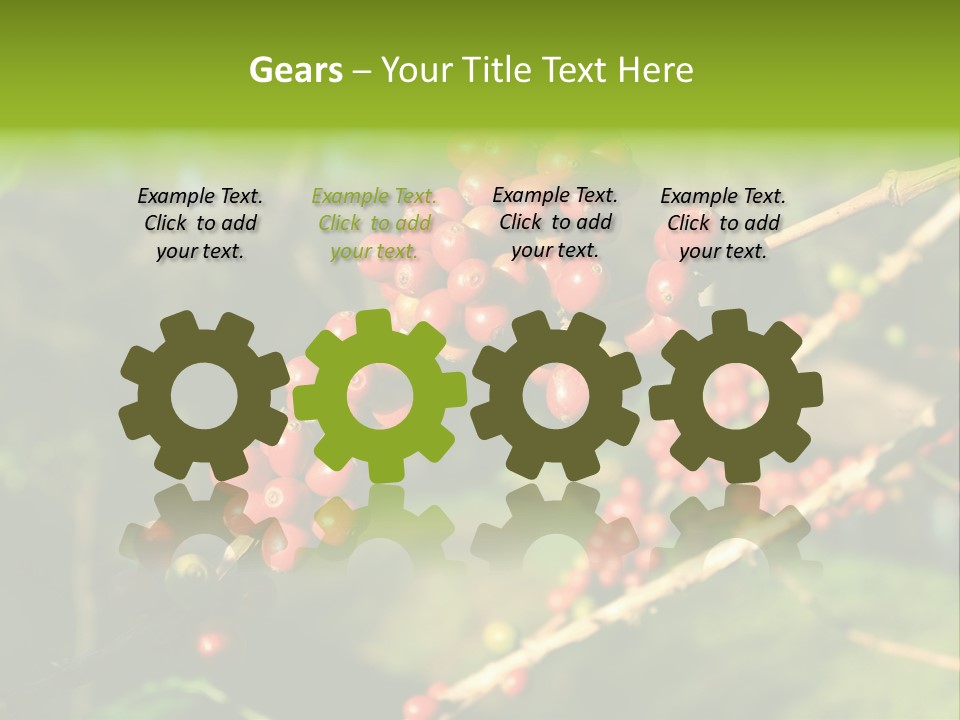 Philippines Nature Sand PowerPoint Template