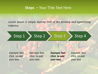 Philippines Nature Sand PowerPoint Template