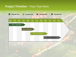 Philippines Nature Sand PowerPoint Template