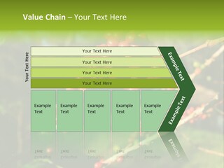 Philippines Nature Sand PowerPoint Template