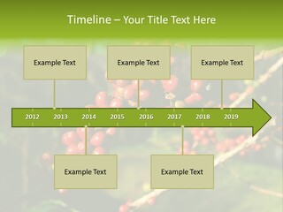 Philippines Nature Sand PowerPoint Template