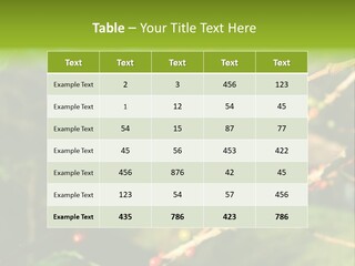 Philippines Nature Sand PowerPoint Template