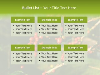 Philippines Nature Sand PowerPoint Template