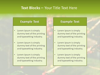 Philippines Nature Sand PowerPoint Template