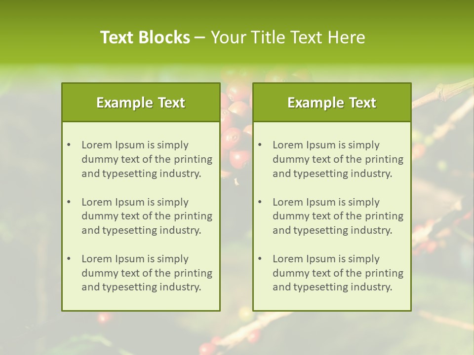Philippines Nature Sand PowerPoint Template